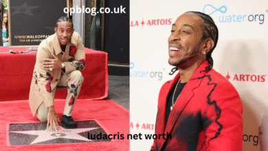 Ludacris Net Wort