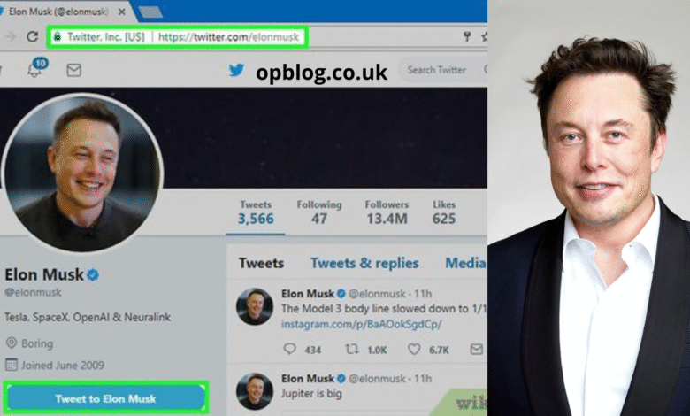 How to Contact Elon Musk