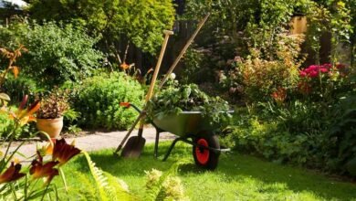 Decoradyard Garden Tips by Decorator Advice