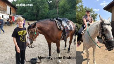 Memory Lane Stables