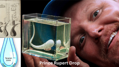 Prince Rupert Drop