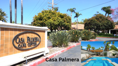 Casa Palmera