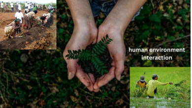 human environment interaction