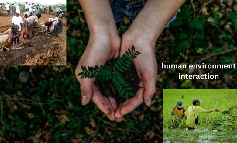 human environment interaction