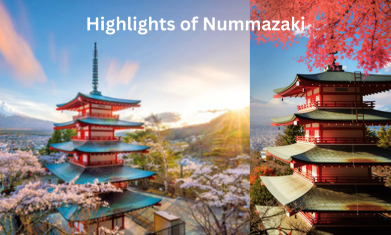 Highlights of Nummazaki