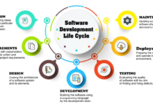 SDLC Phases