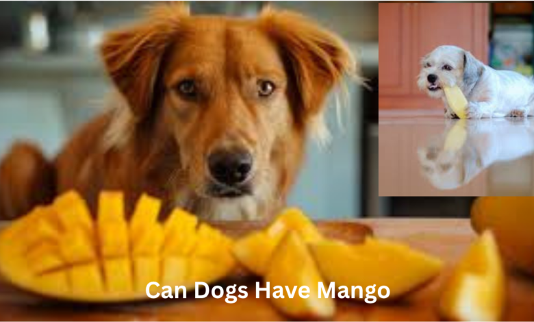 Can Dogs Have Mango