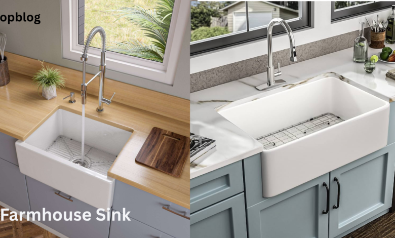 Farmhouse Sink