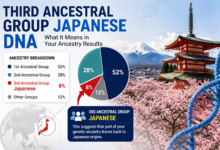 Third Ancestral Group Japanese DNA