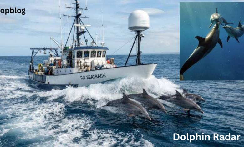 Dolphin Radar