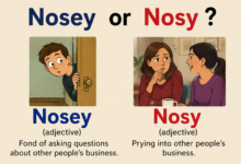 Nosey or Nosy