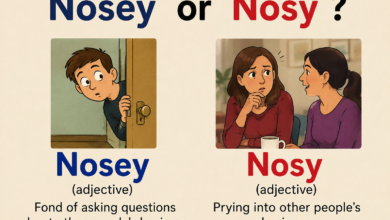 Nosey or Nosy