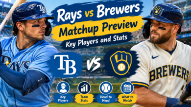 Rays vs Brewers